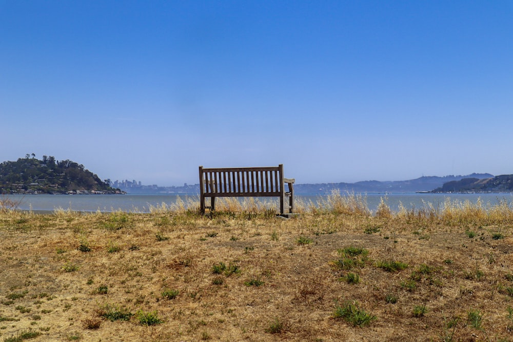 brown wooden bench on green grass field near body of water during daytime