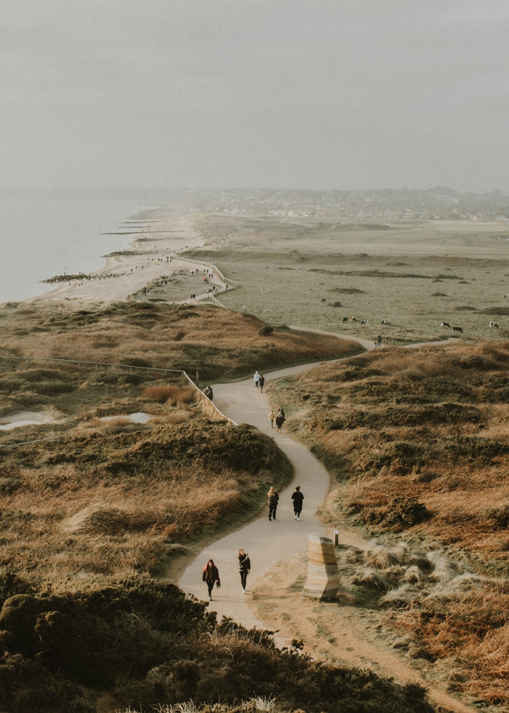 people walking on brown field during daytime