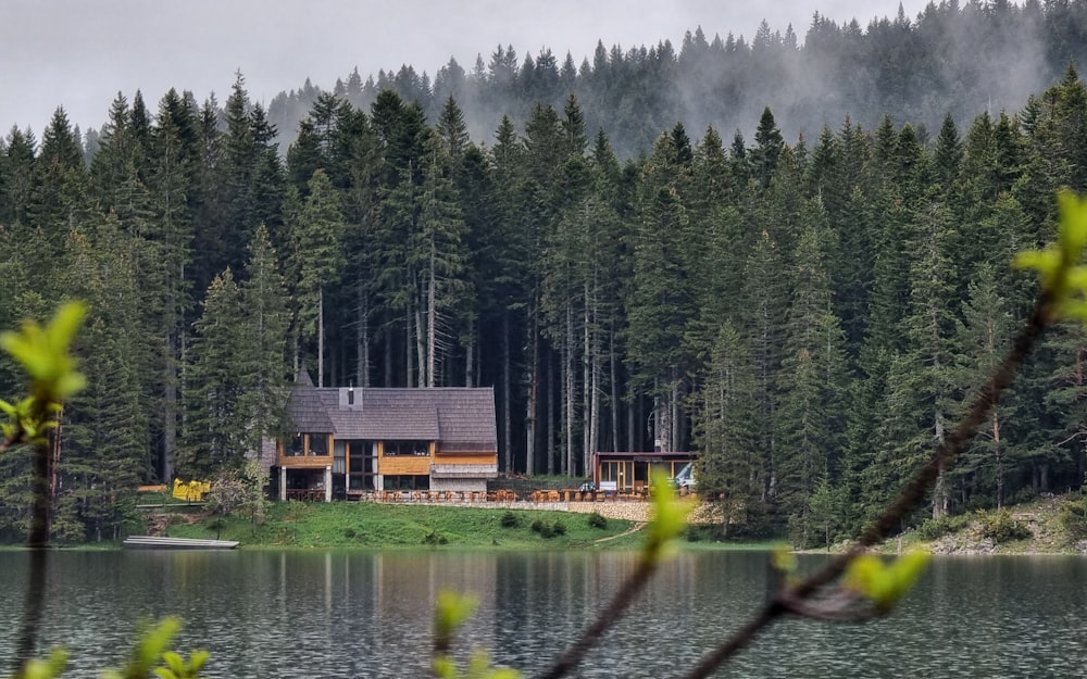 brown wooden house near green trees and lake during daytime