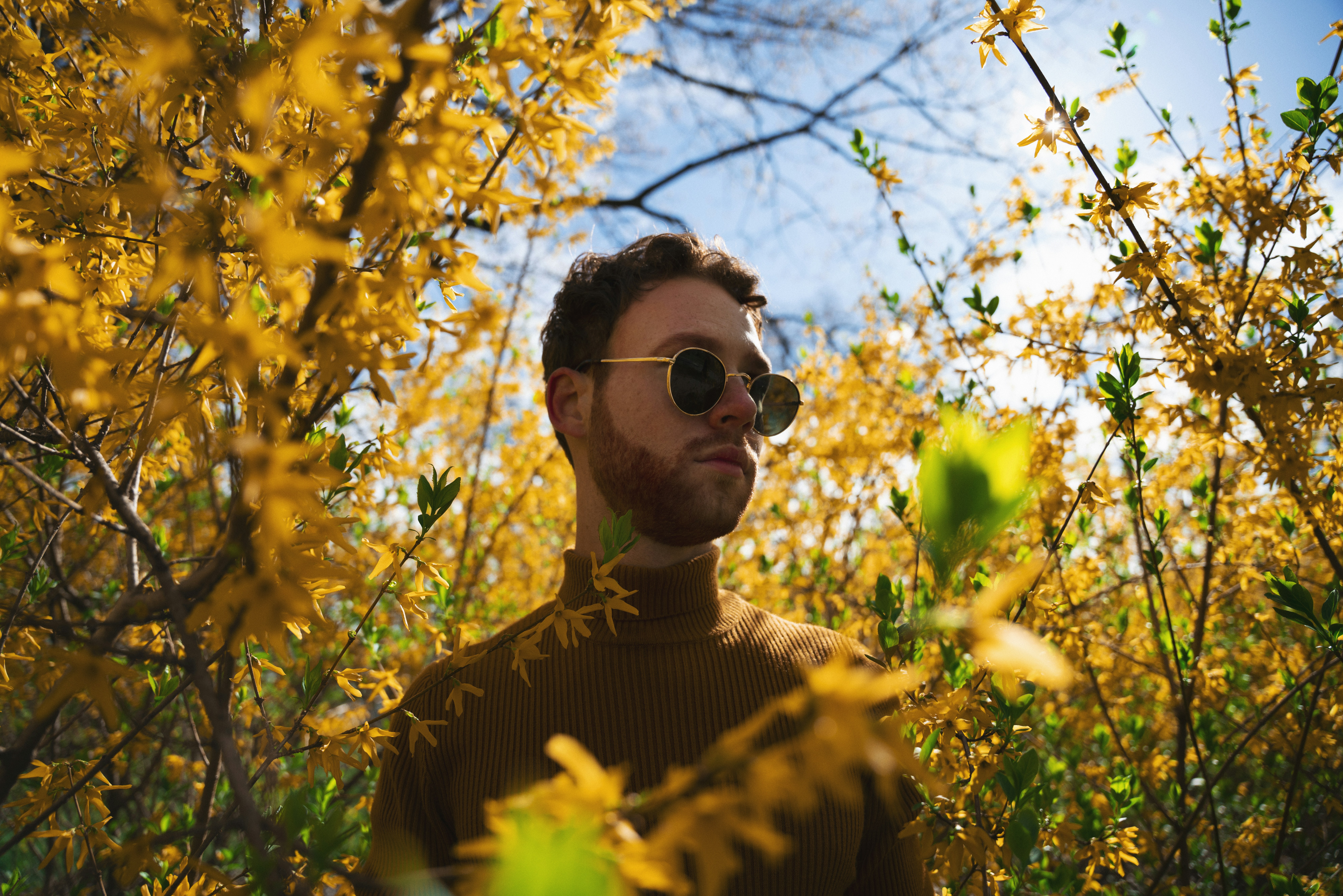 man in brown and black striped crew neck shirt wearing black sunglasses standing under white cherry