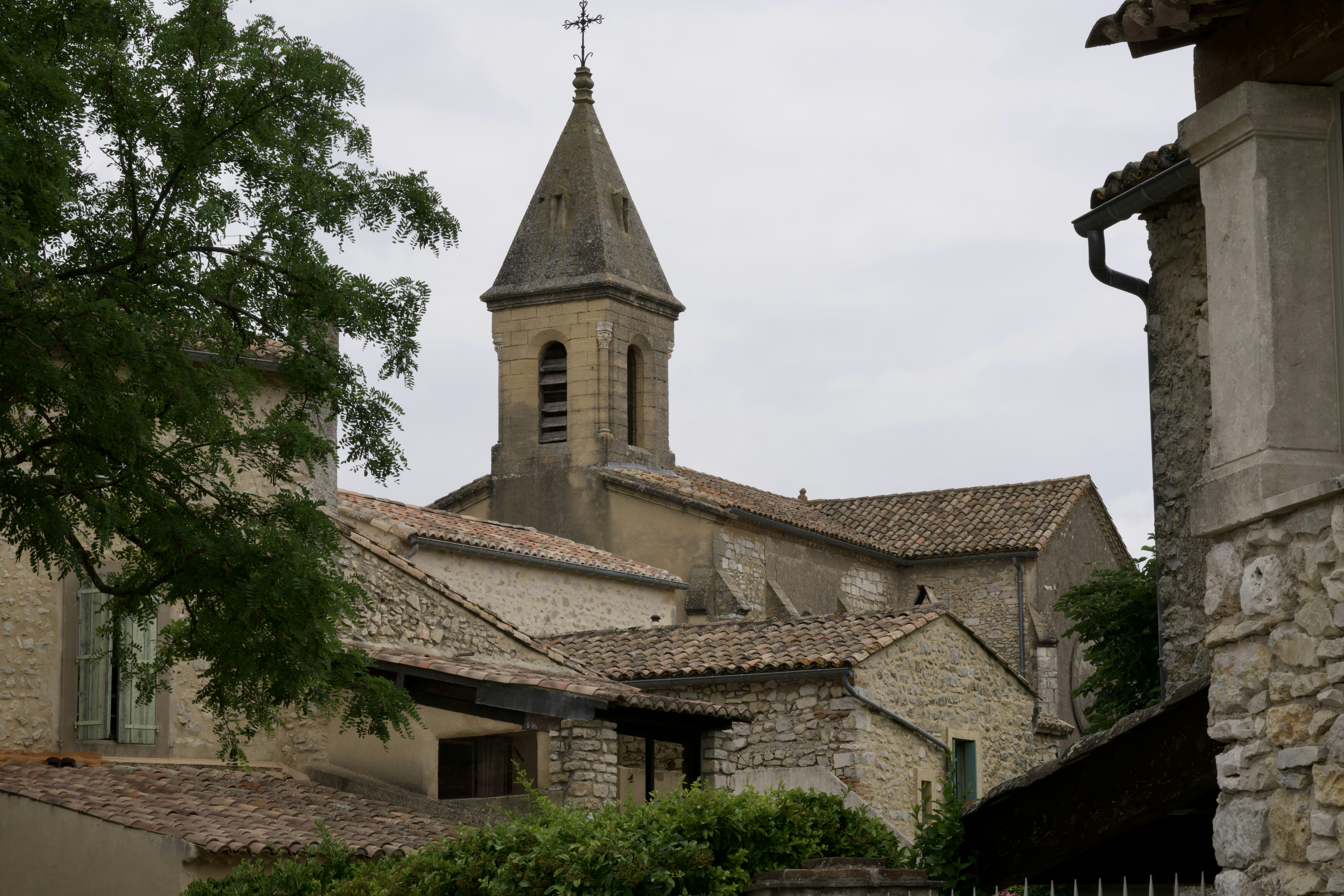 Photo by bullfishfighter