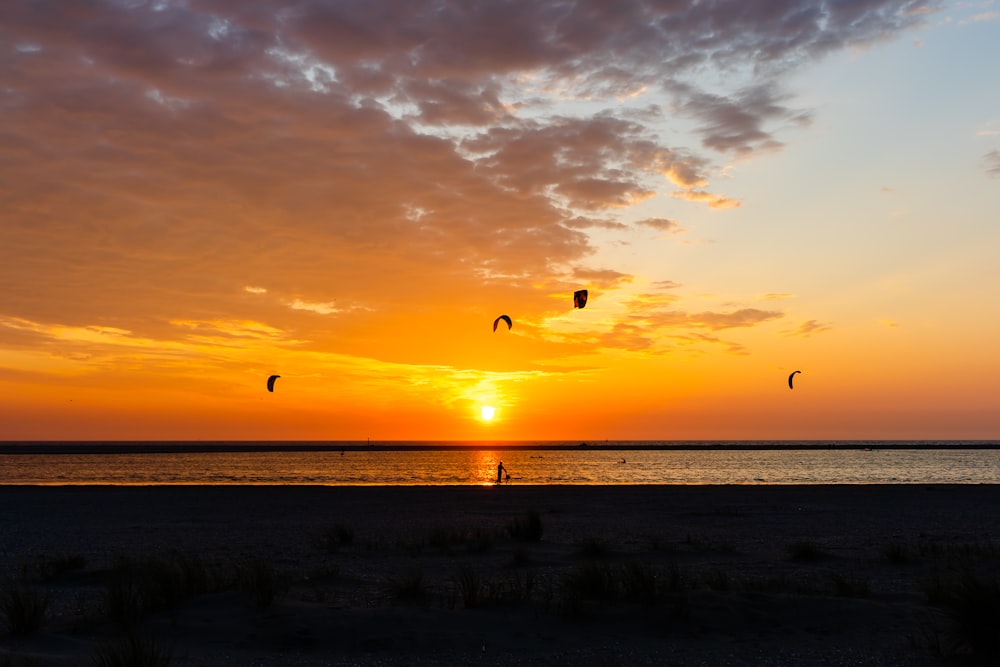 Vögel, die während des Sonnenuntergangs über das Meer fliegen