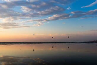 A peaceful early morning scene with kite surfers preparing their gear by the calm waters of Mannar lagoon.