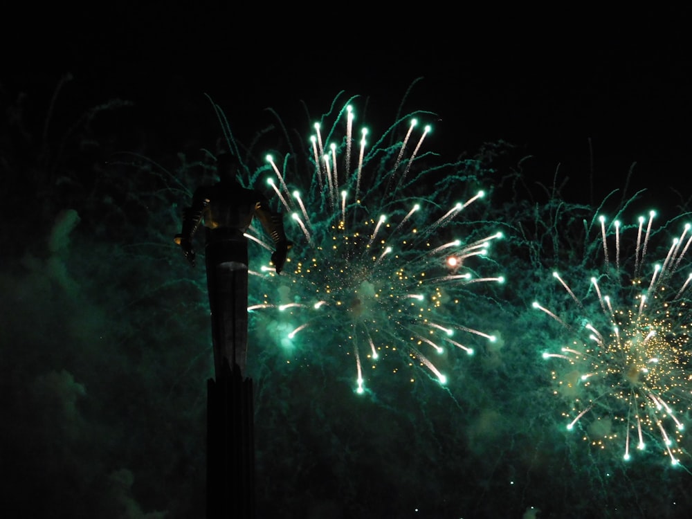 green and white fireworks display during nighttime