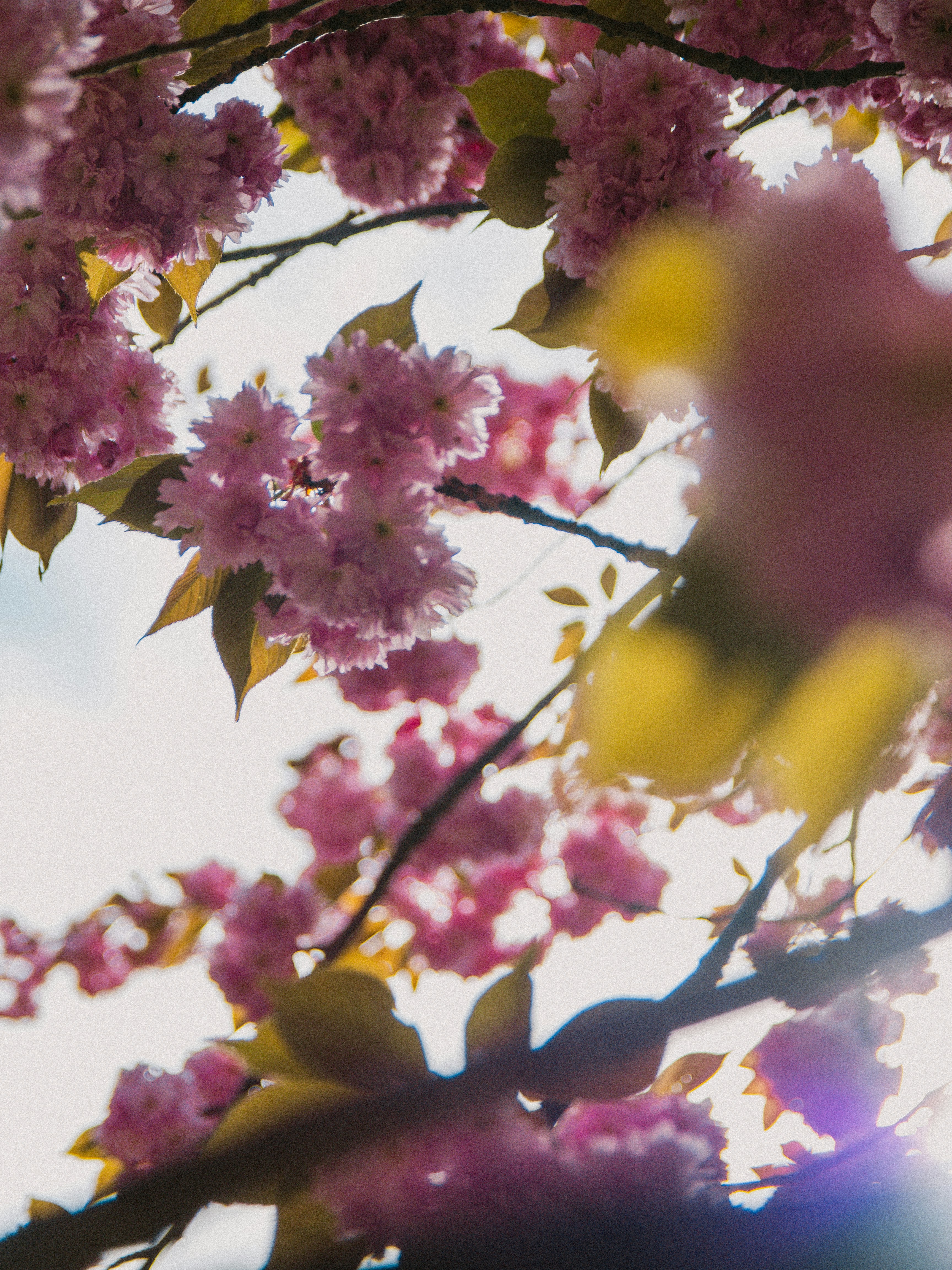 Photo by emilianovittoriosi