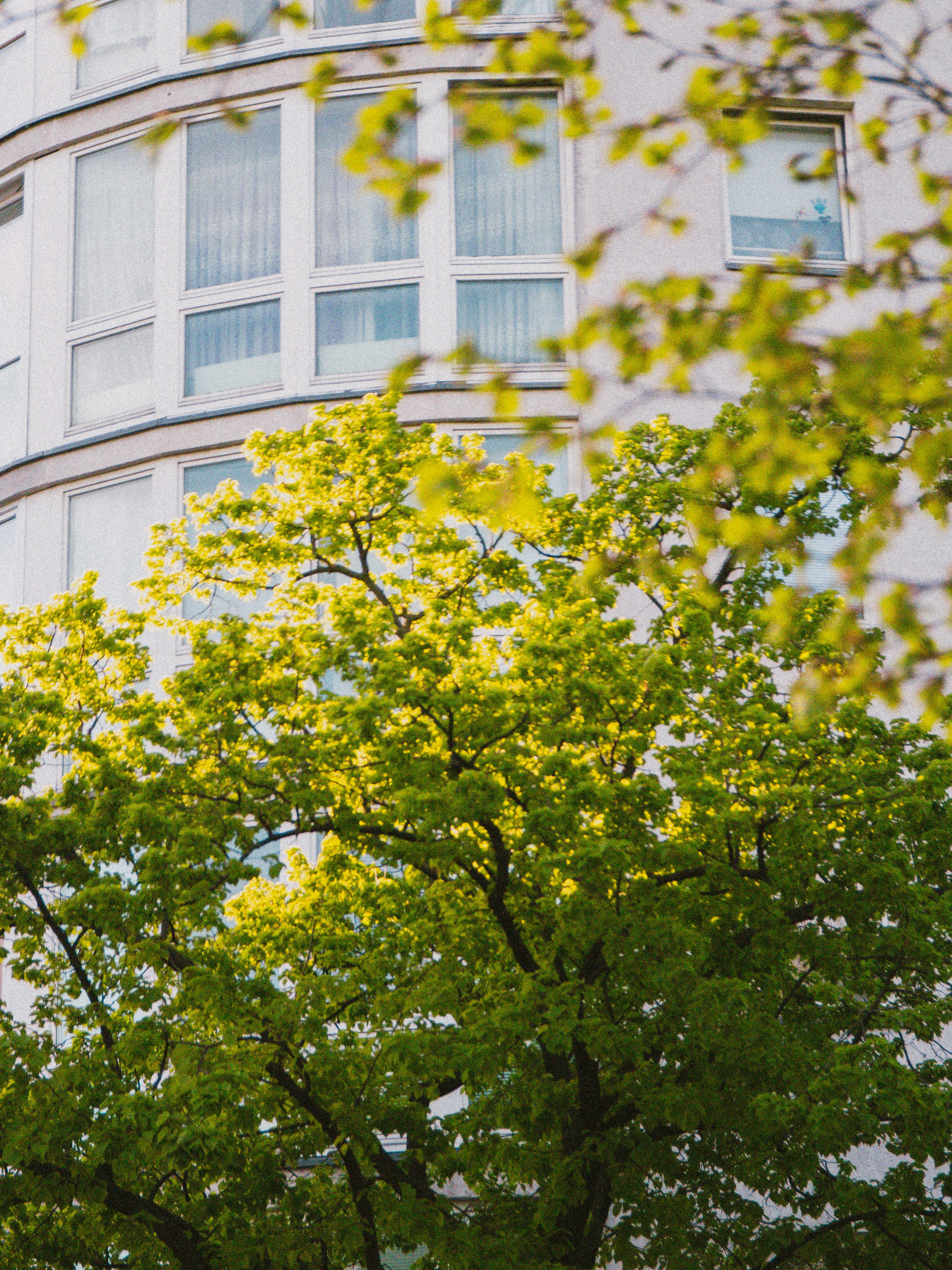 Photo by emilianovittoriosi