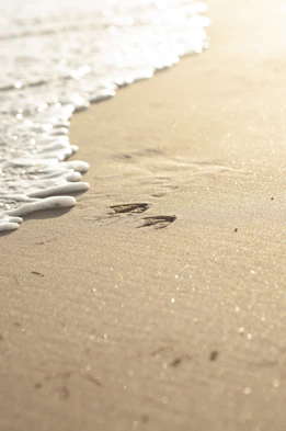 brown sand with white stones