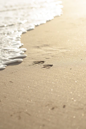 brown sand with white stones