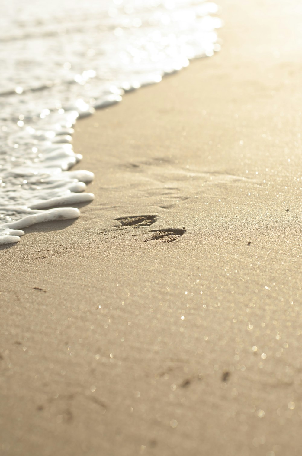 brown sand with white stones