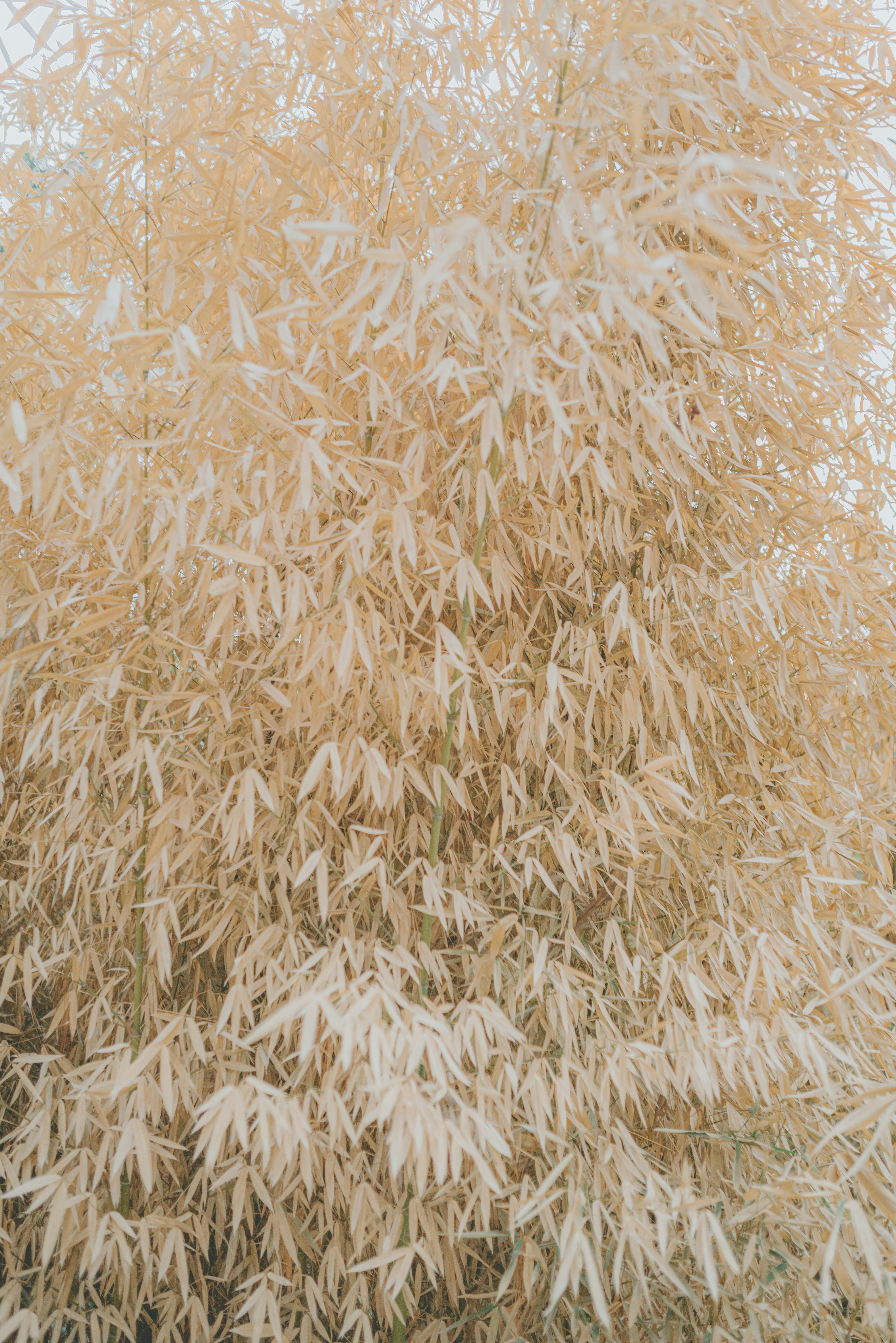 Photo by brunocervera