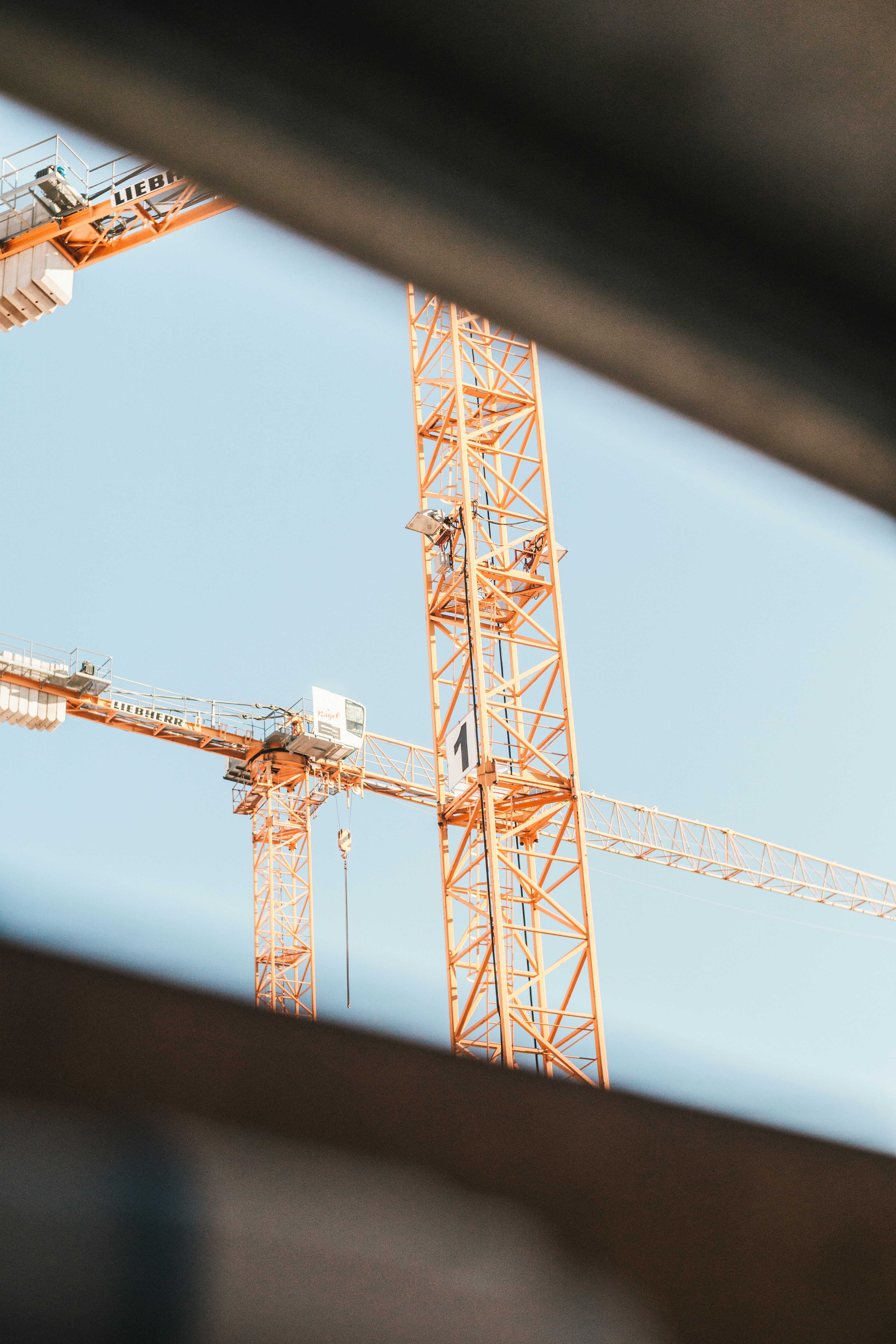 Photo by emilianovittoriosi