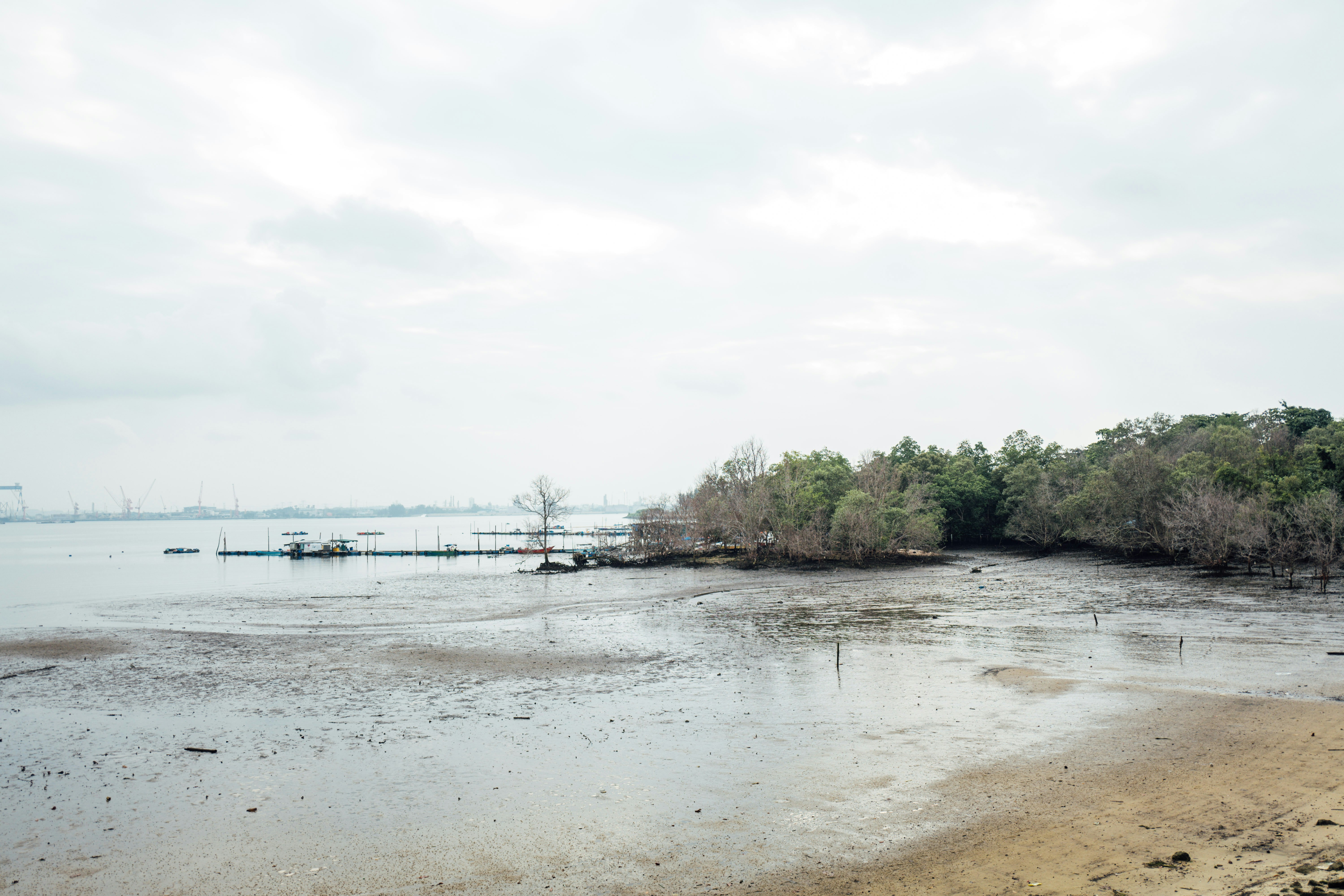 Photo by chuttersnap