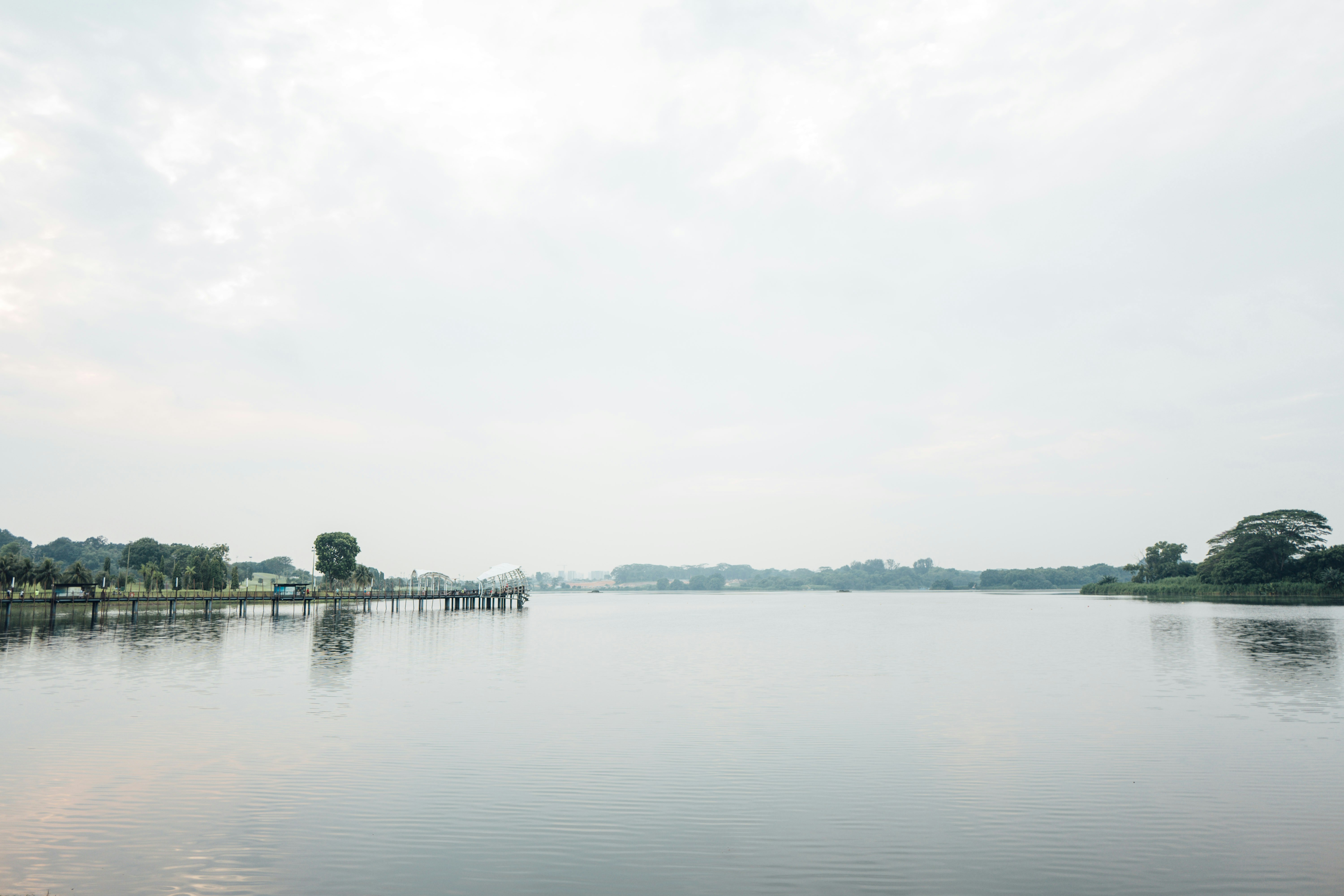 Photo by chuttersnap