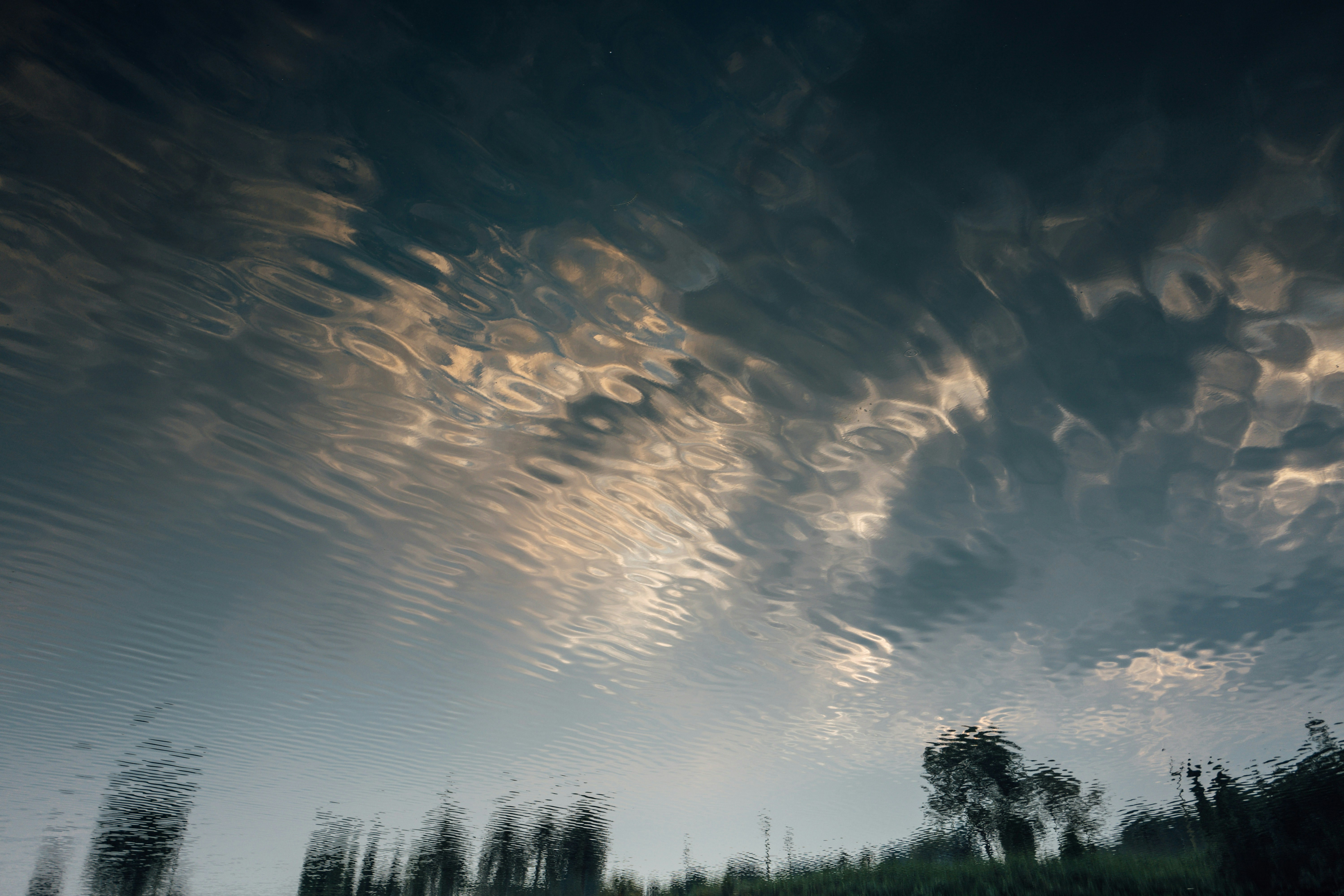 Photo by chuttersnap