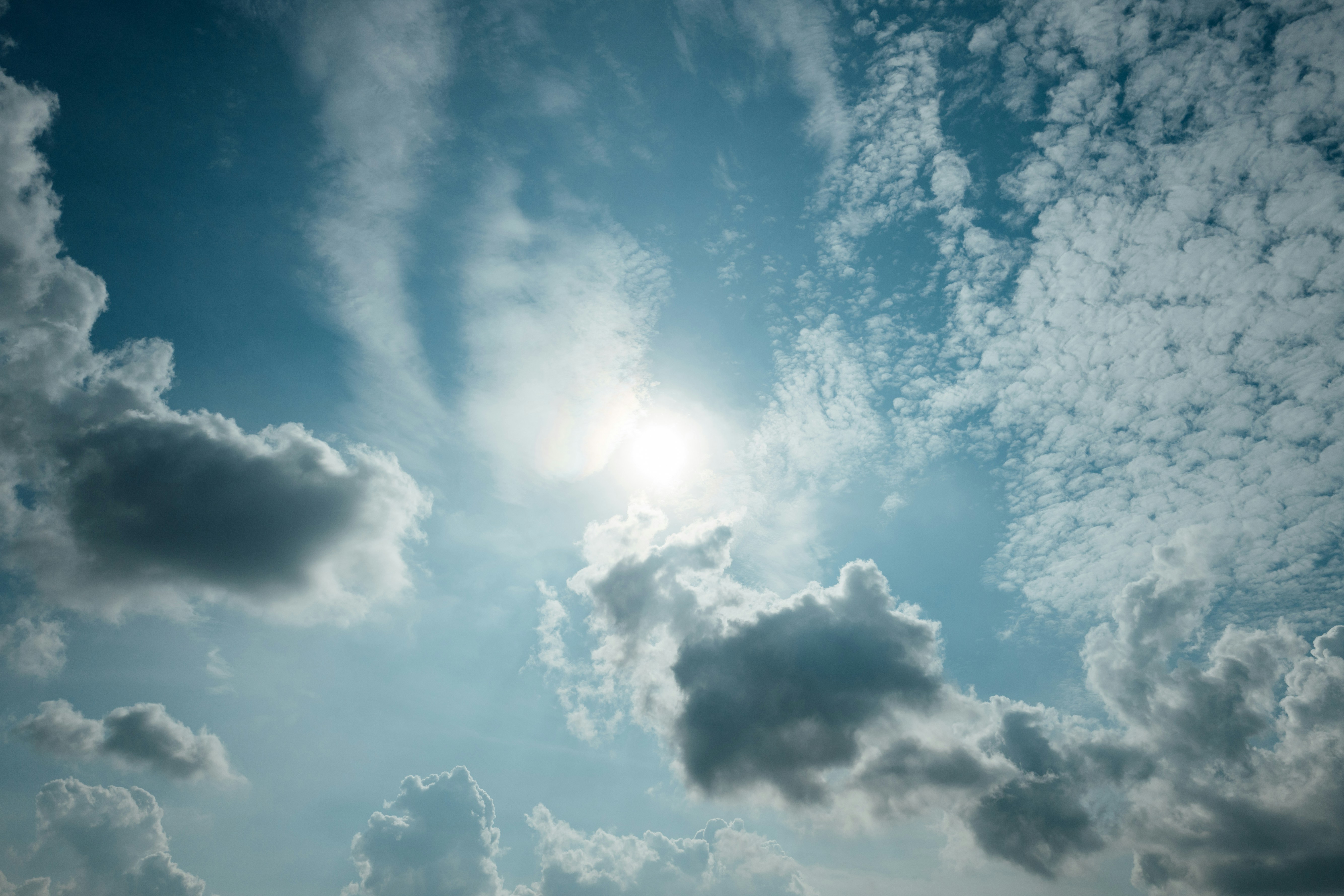 Photo by chuttersnap