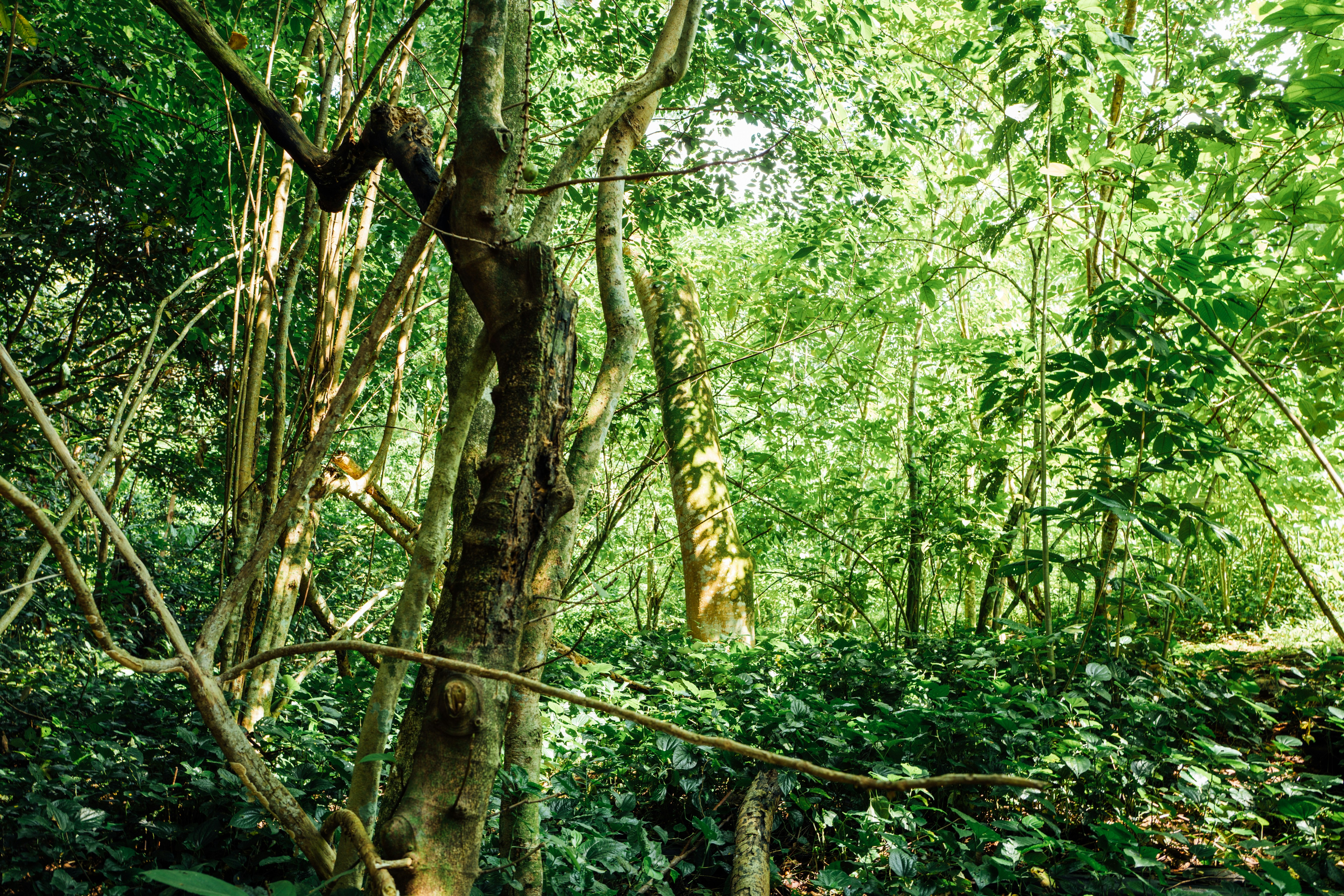 Photo by chuttersnap