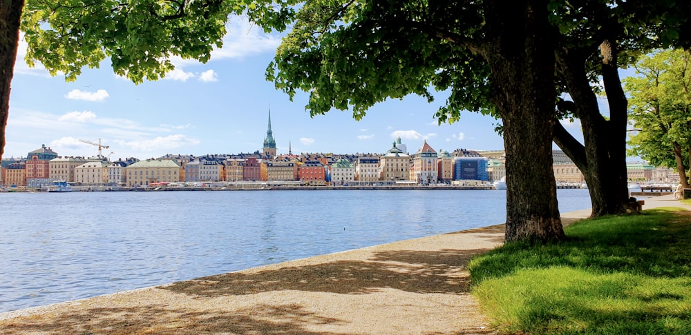 body of water near buildings during daytime