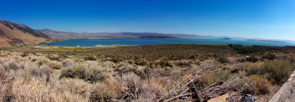 brown grass field near body of water during daytime