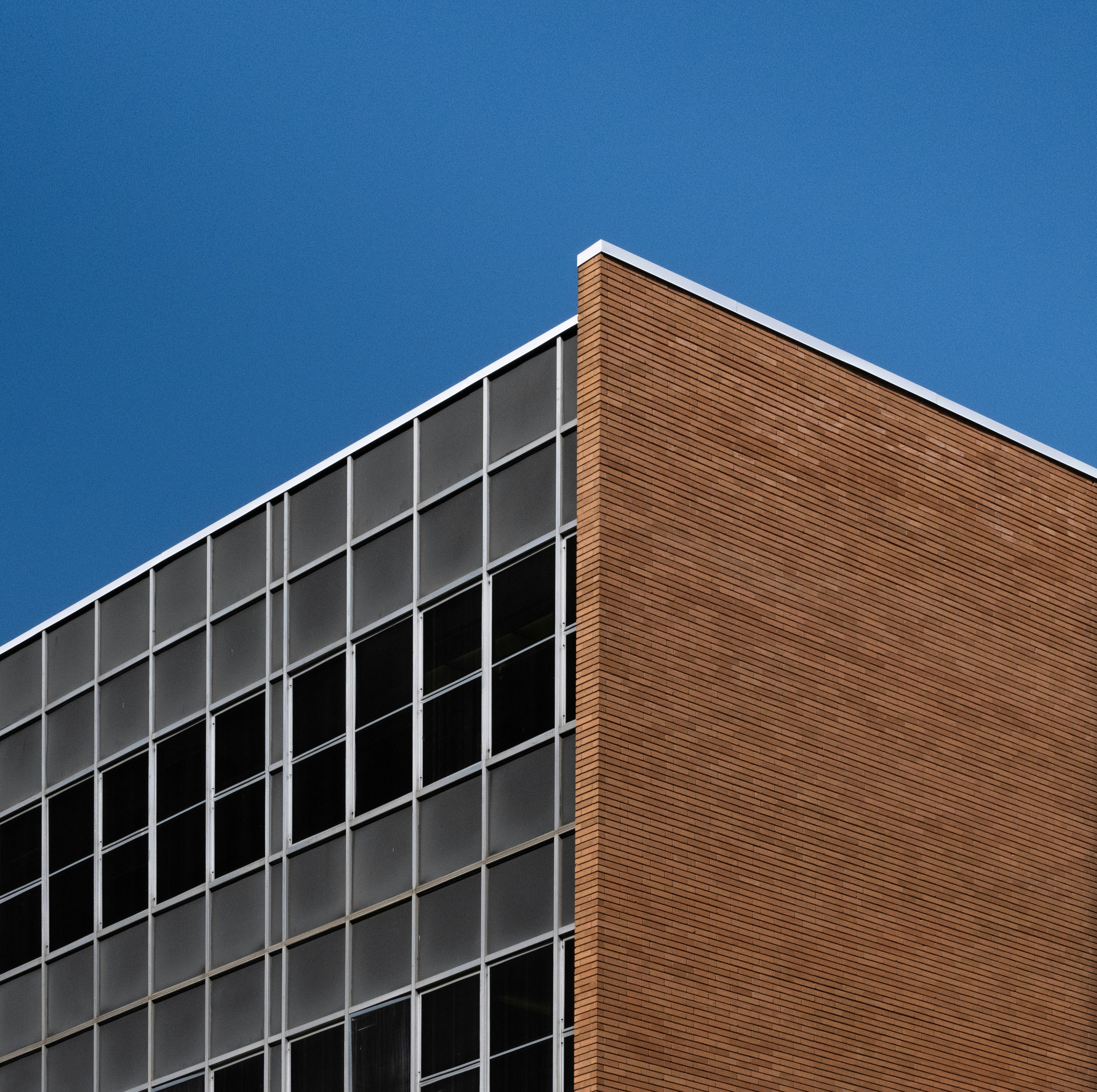 Photo by parsoakhorsand