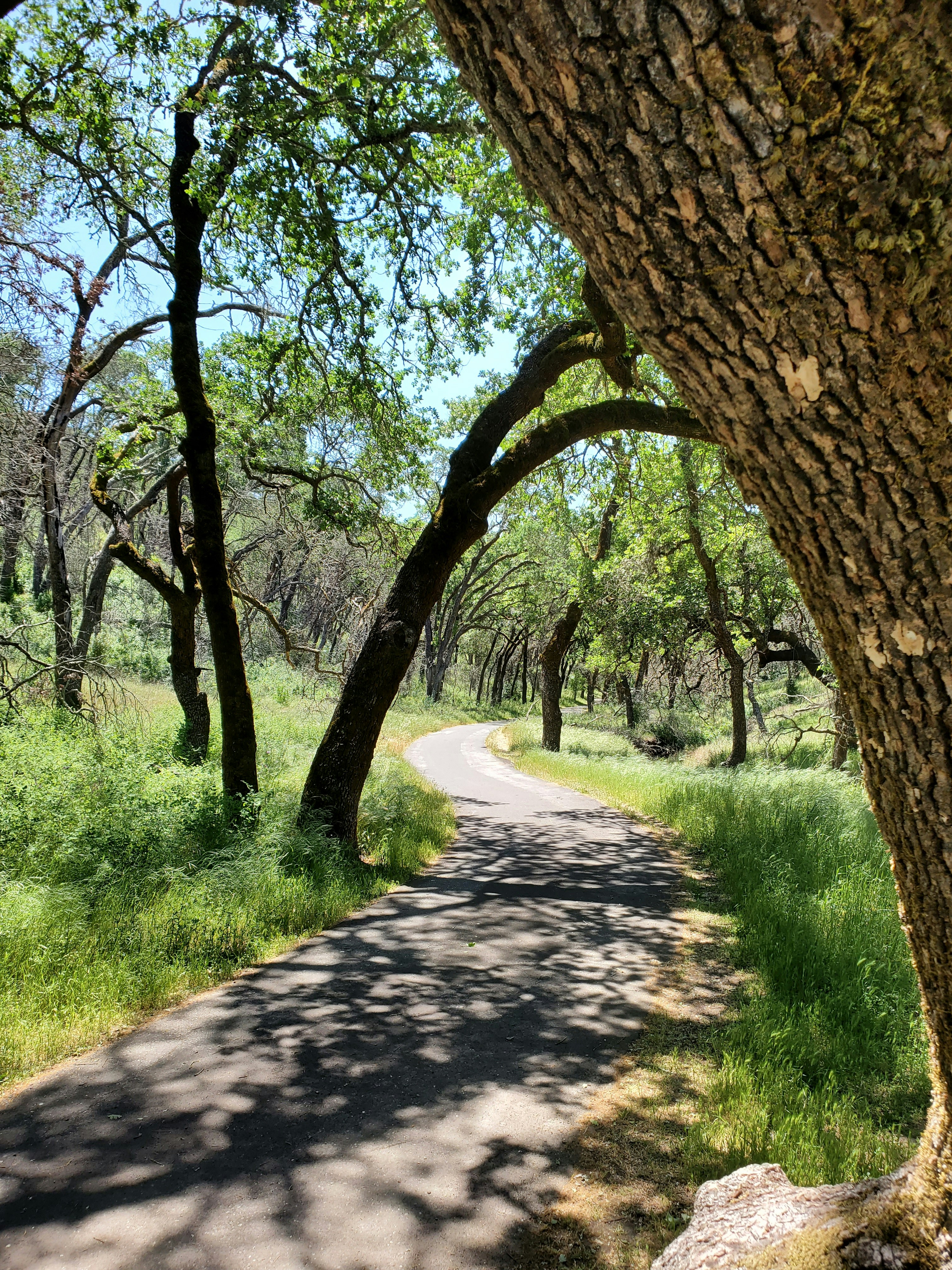 Photo by estephens72