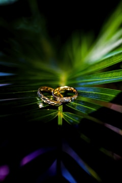 green and yellow light digital wallpaper