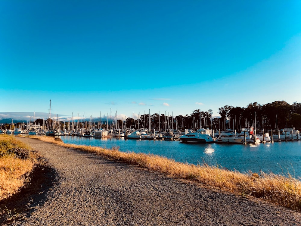 white boat on body of water during daytime