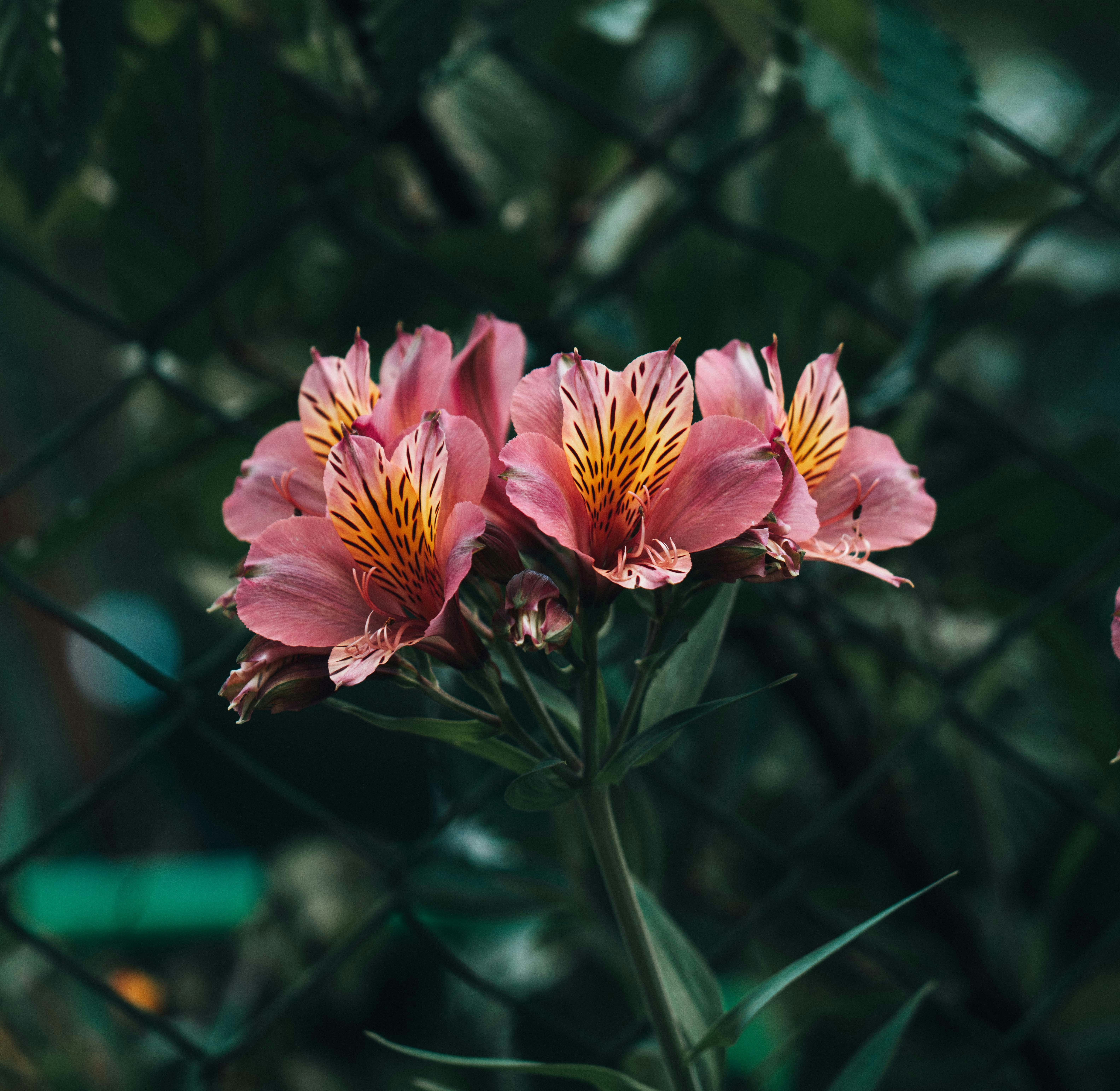 Photo by annastampfli