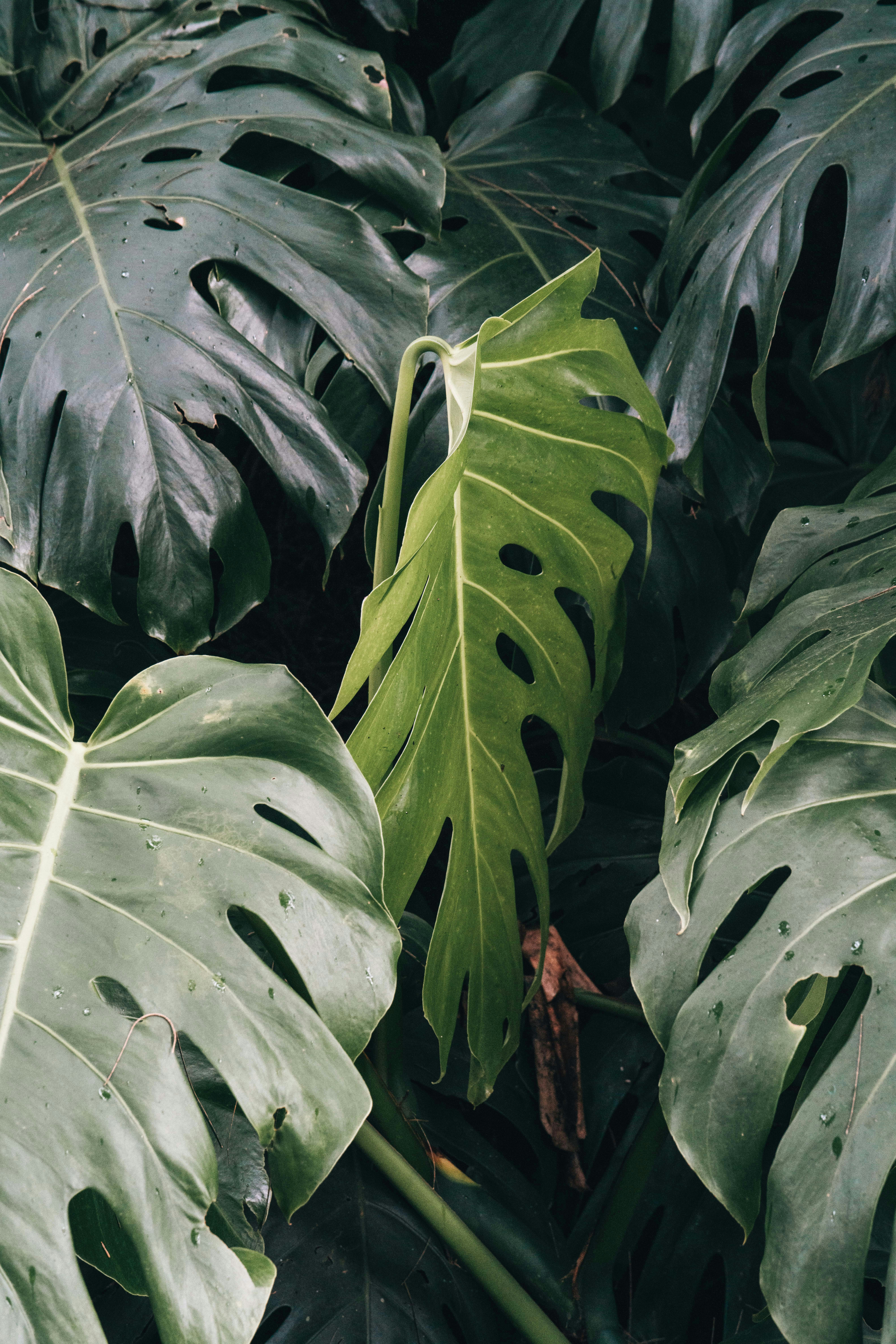 Photo by annastampfli