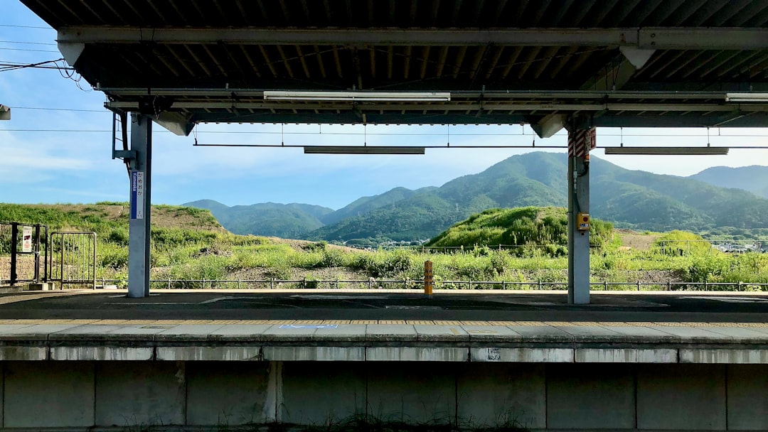 Lost in Translation: A Local's Guide to Navigating Kyoto's Maze of… — Lost in Translation