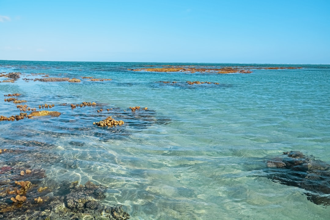 brown and white stones on body of water under blue sky during daytime