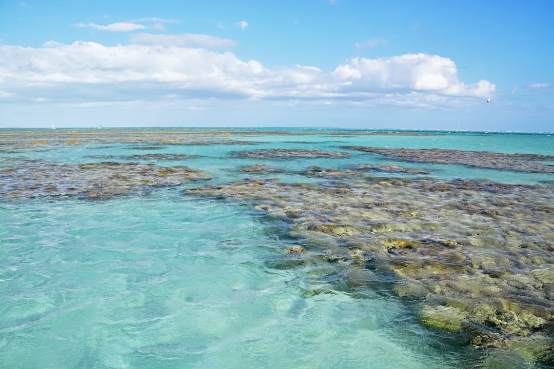 blue sea under blue sky during daytime