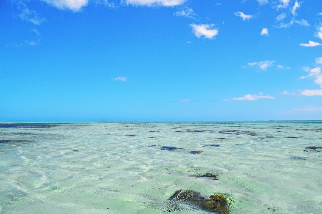 blue sky over the sea