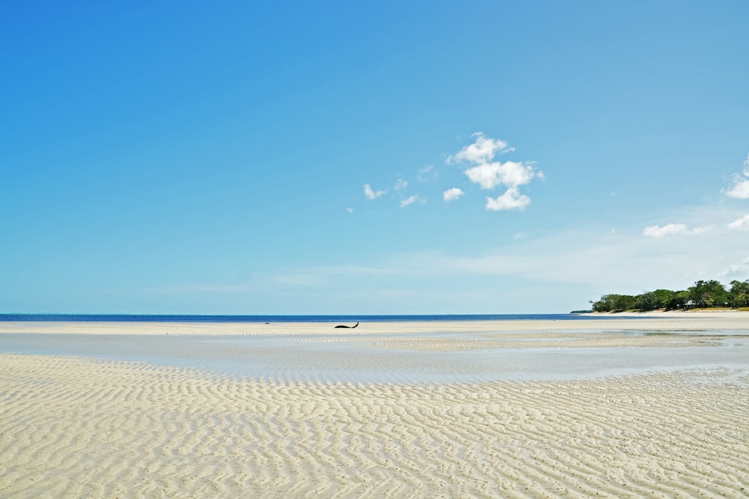 white sand beach under blue sky during daytime