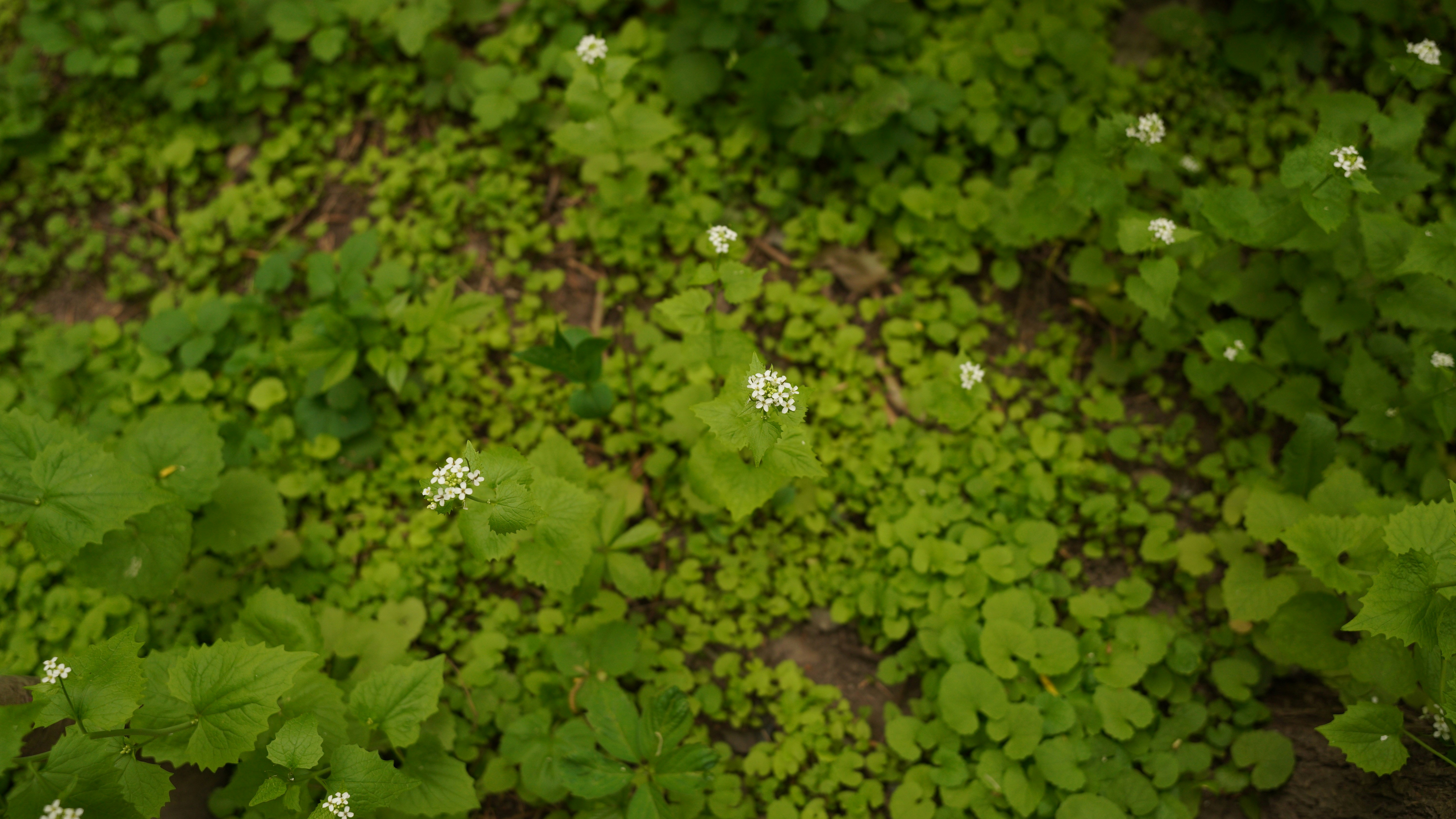 Photo by akshayspaceship