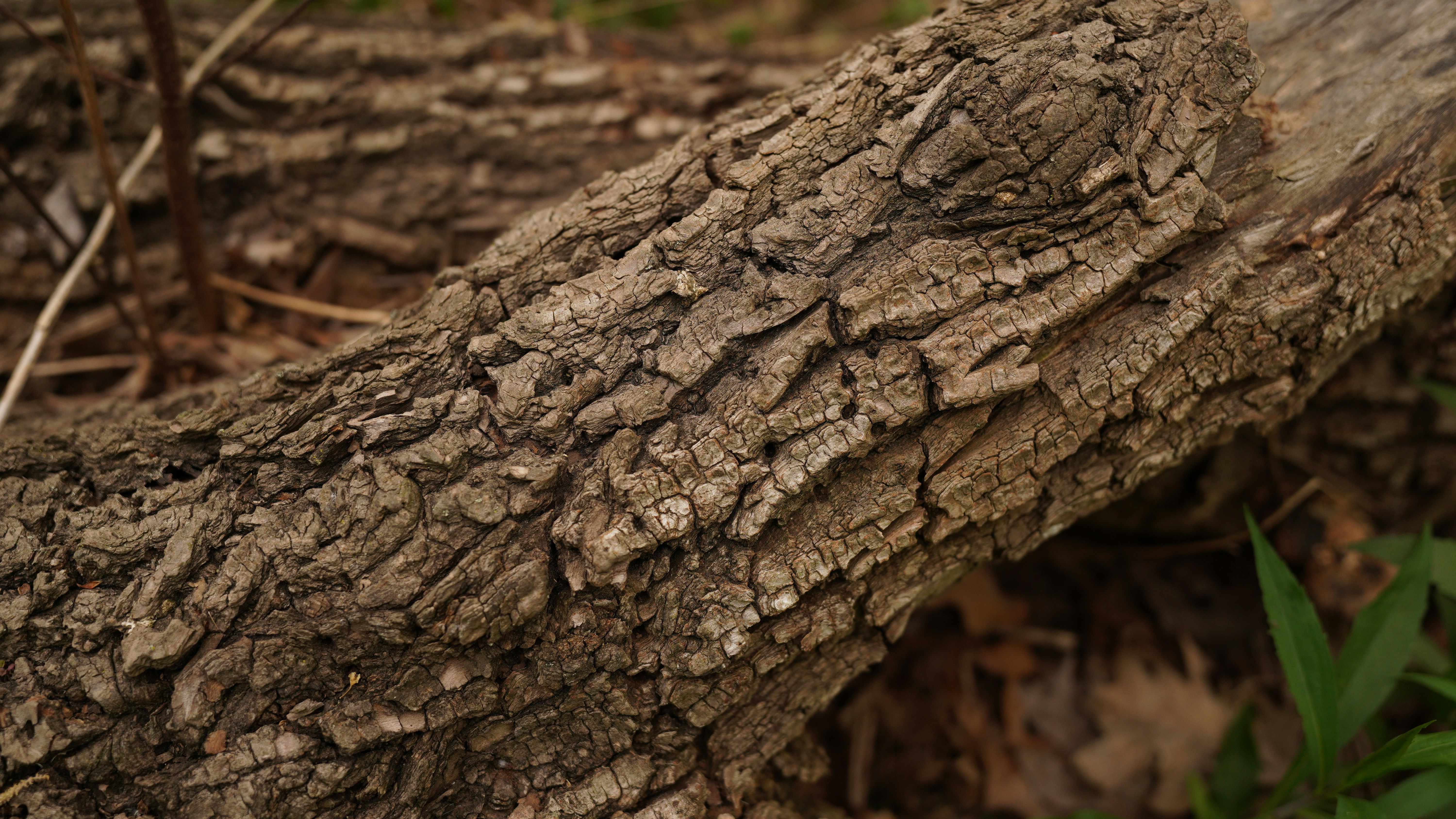 Photo by akshayspaceship