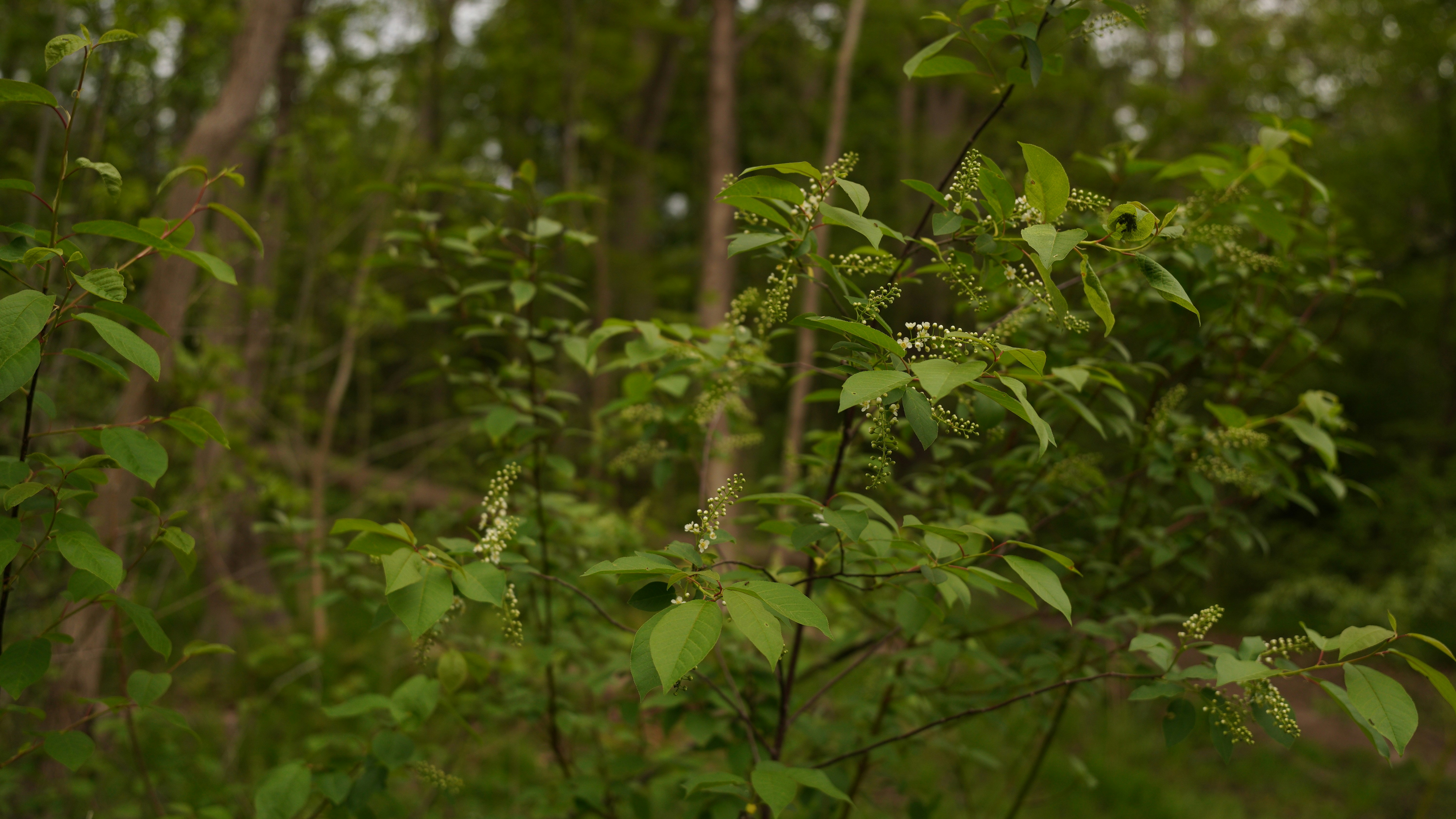 Photo by akshayspaceship