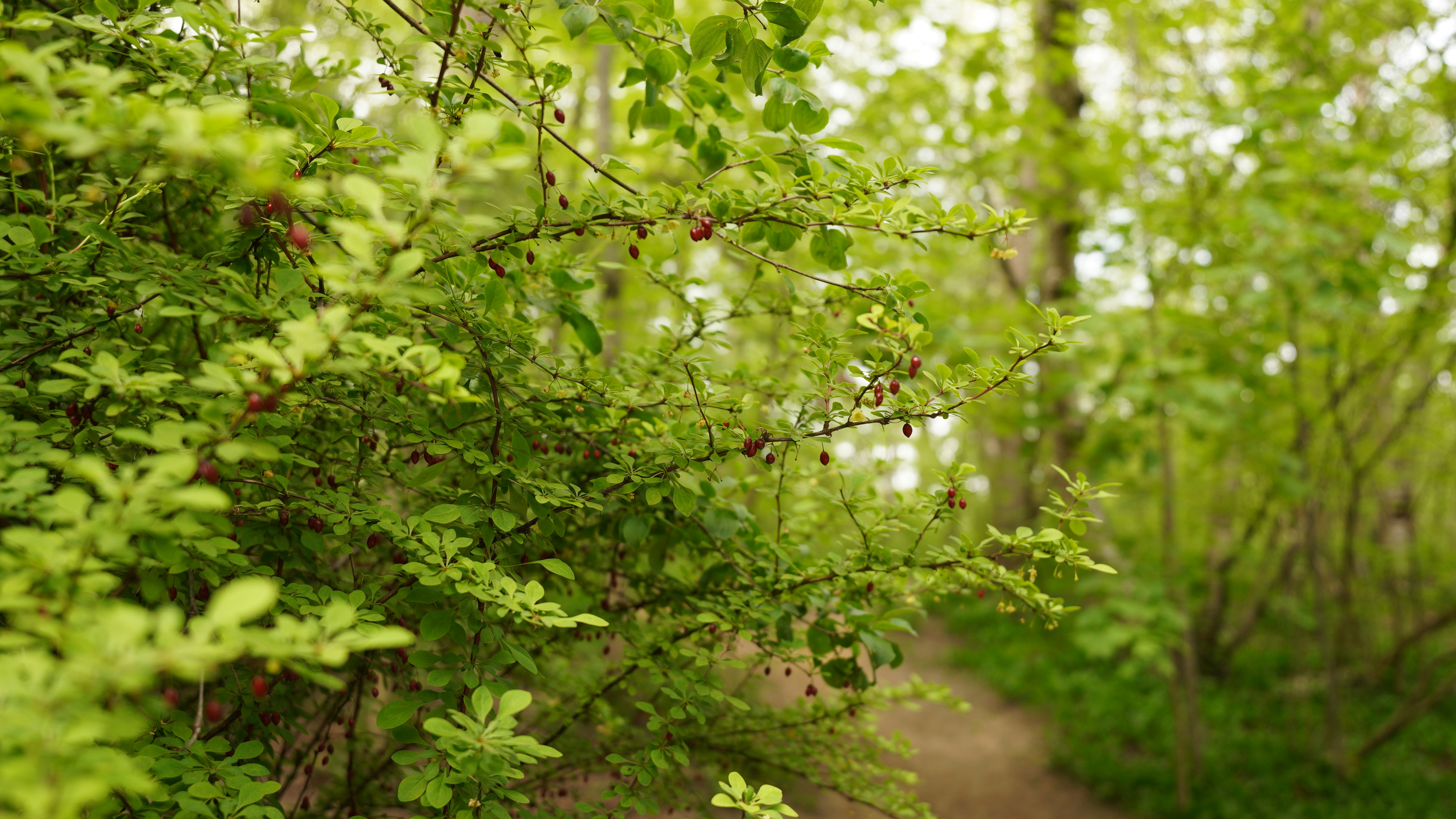 Photo by akshayspaceship