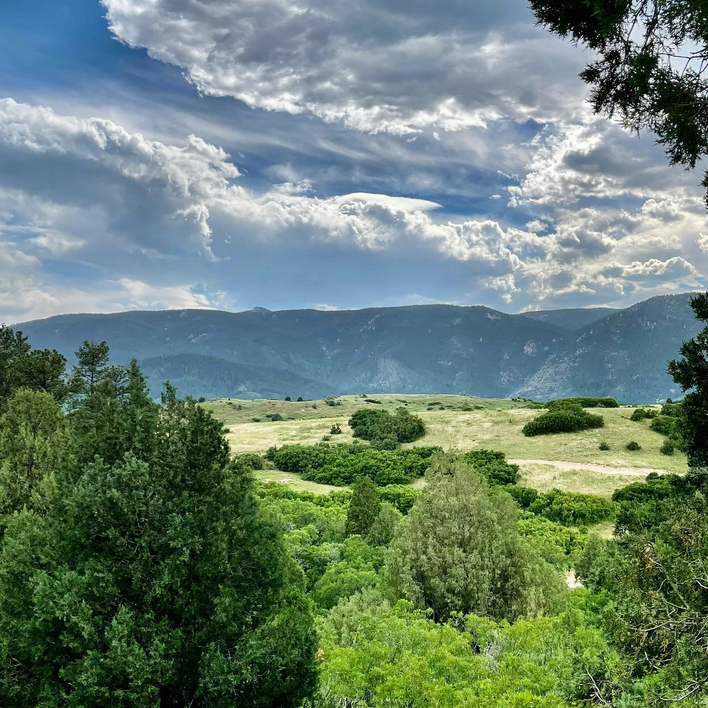 Photo by laitonbarbo