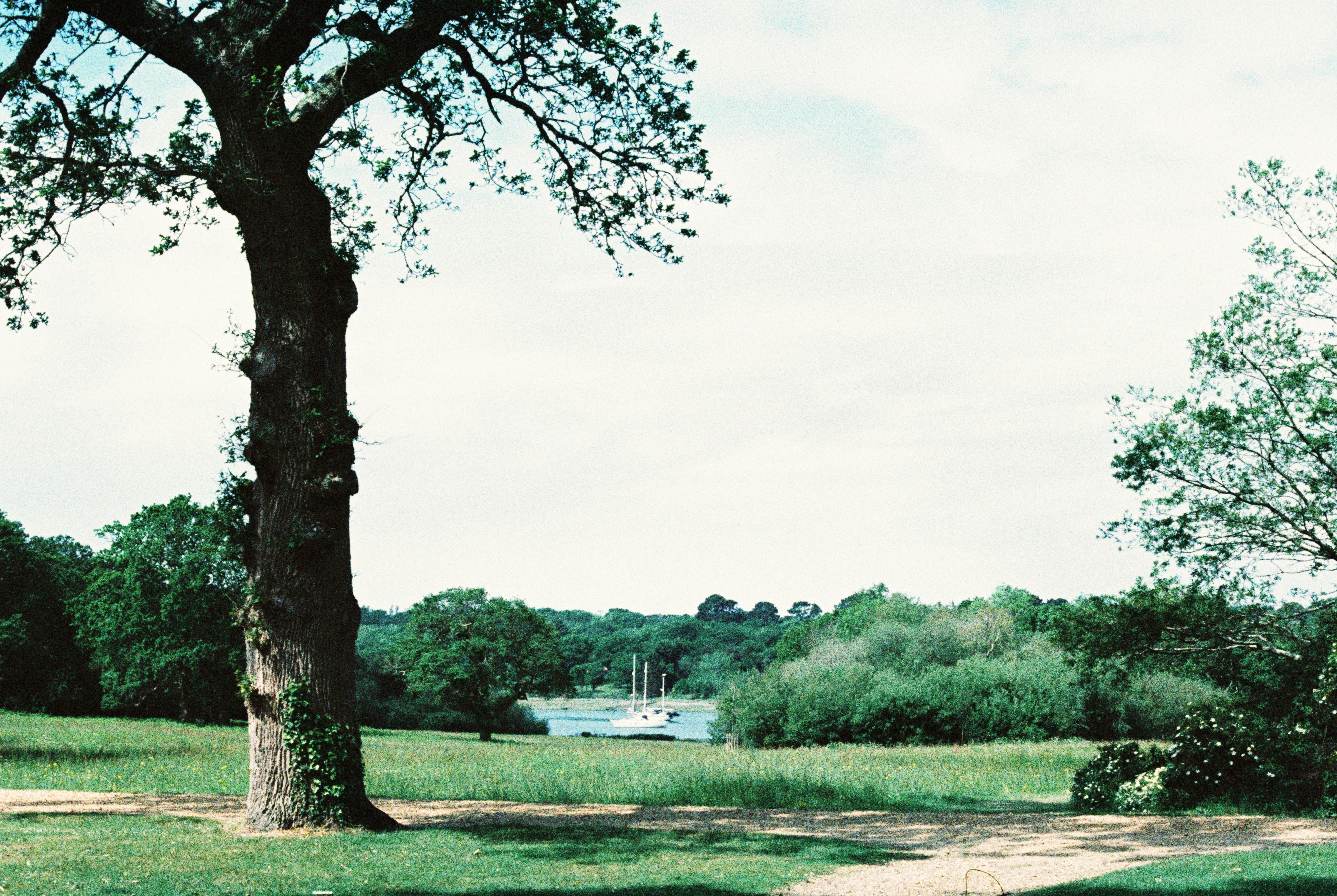 Photo by anniespratt