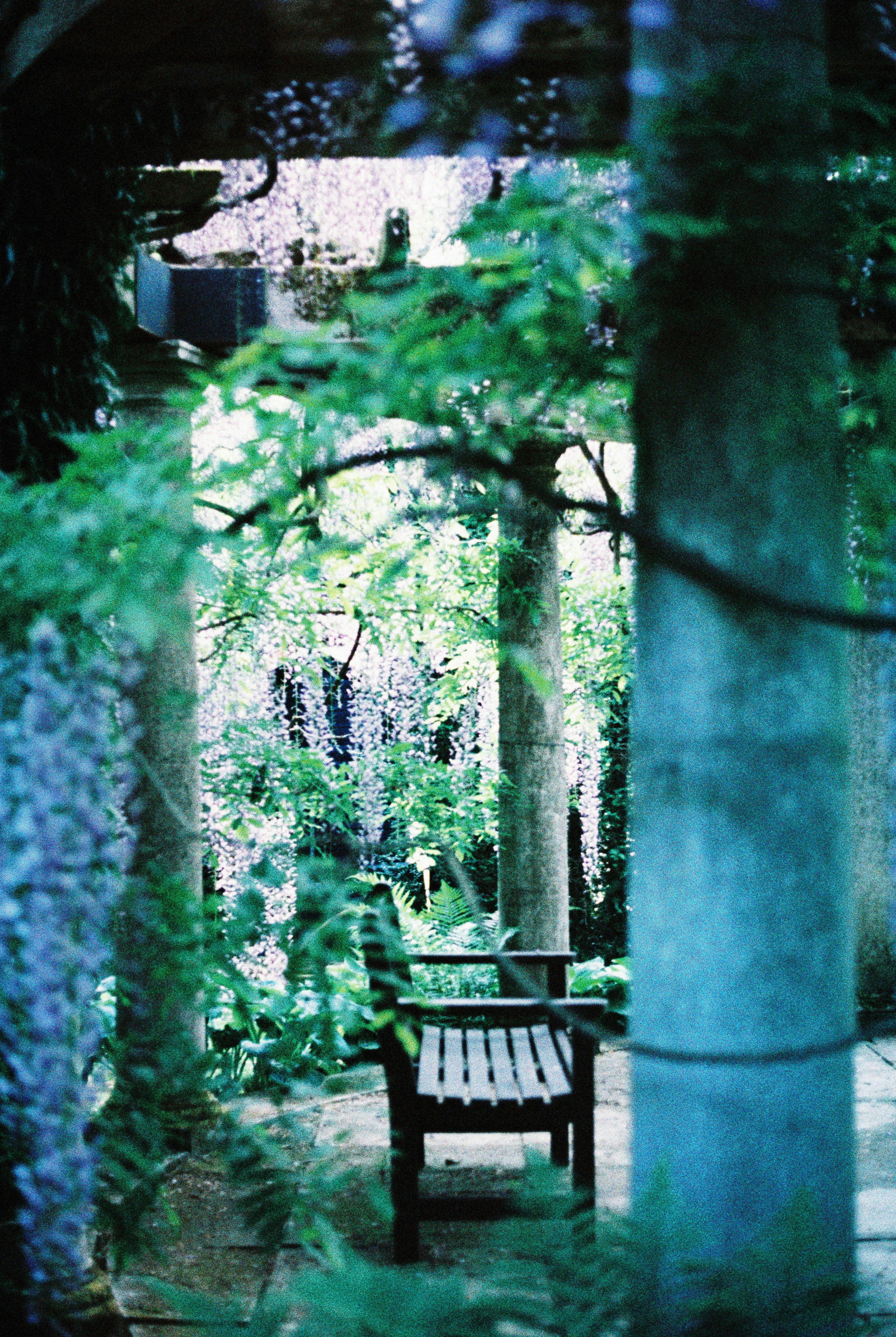 Photo by anniespratt