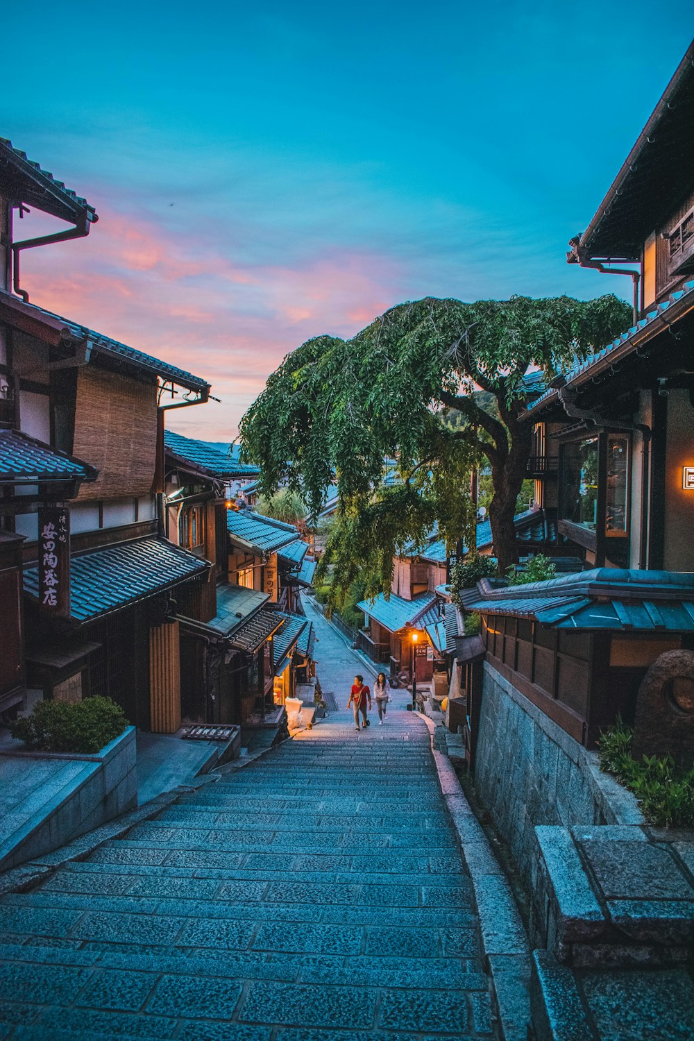 昼間は緑の木々のそばの茶色い木造住宅