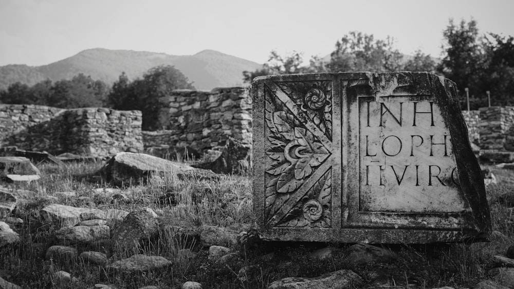 grayscale photo of metal door