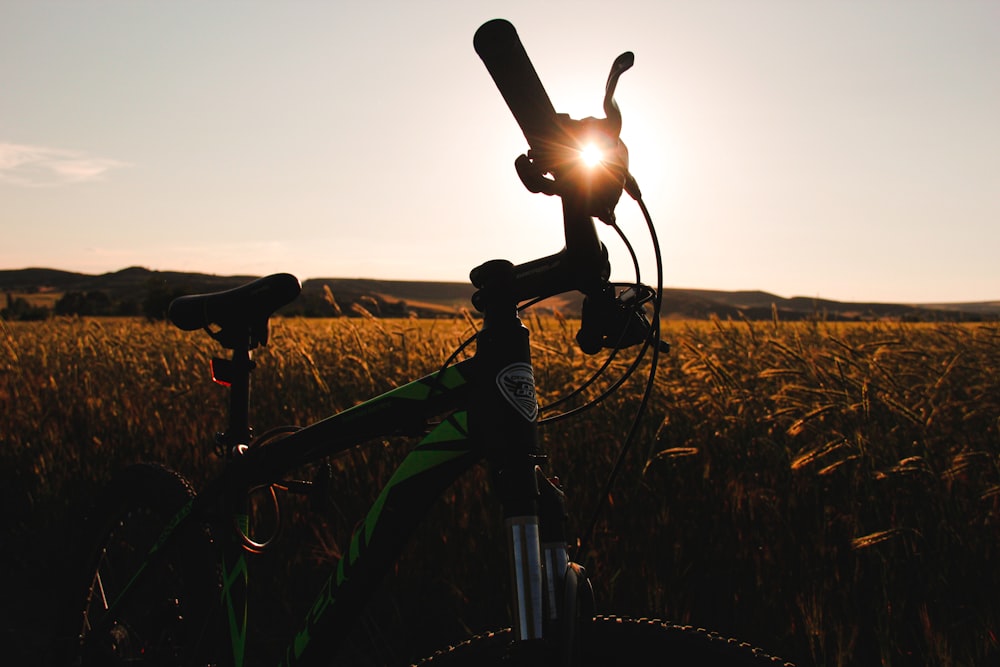 black bicycle on green grass field during daytime