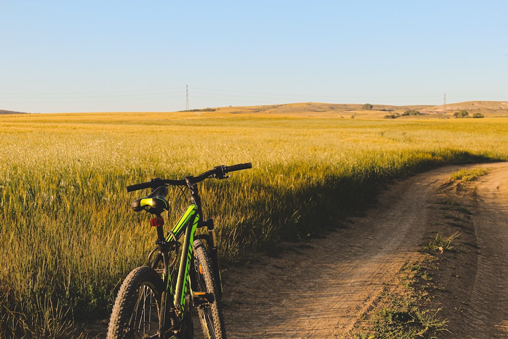 black and red mountain bike on road