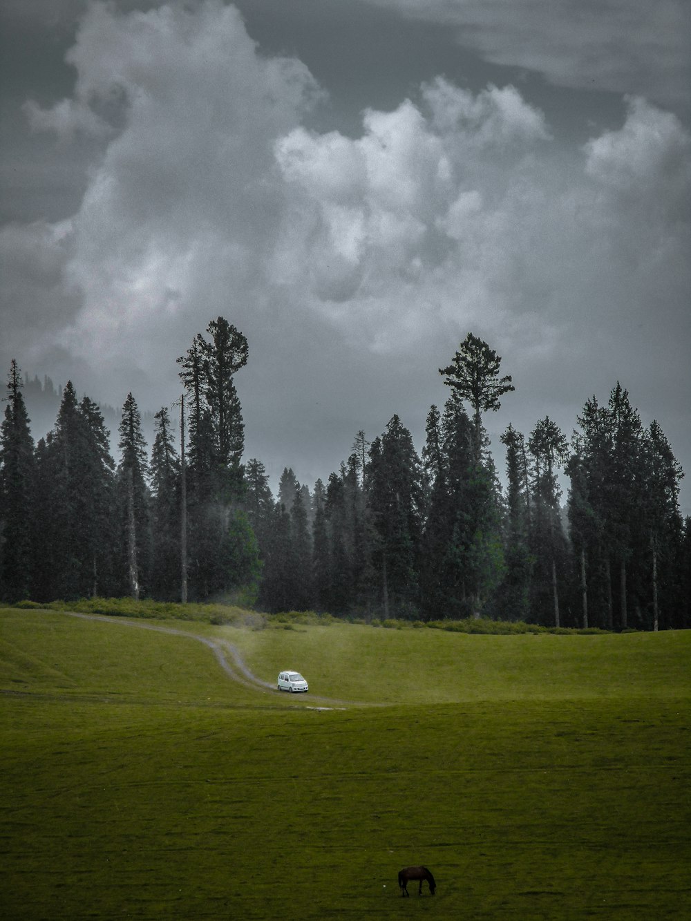 green grass field with trees under gray clouds