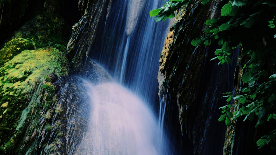 water falls in the middle of the forest