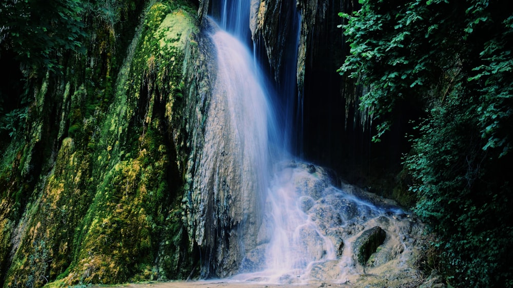 L’eau tombe au milieu de la forêt