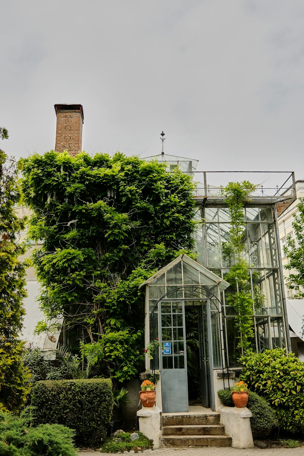 green trees near white building