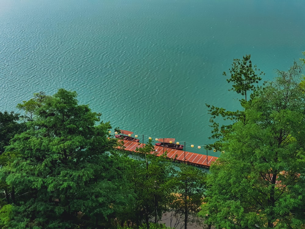 aerial view of green trees beside body of water during daytime