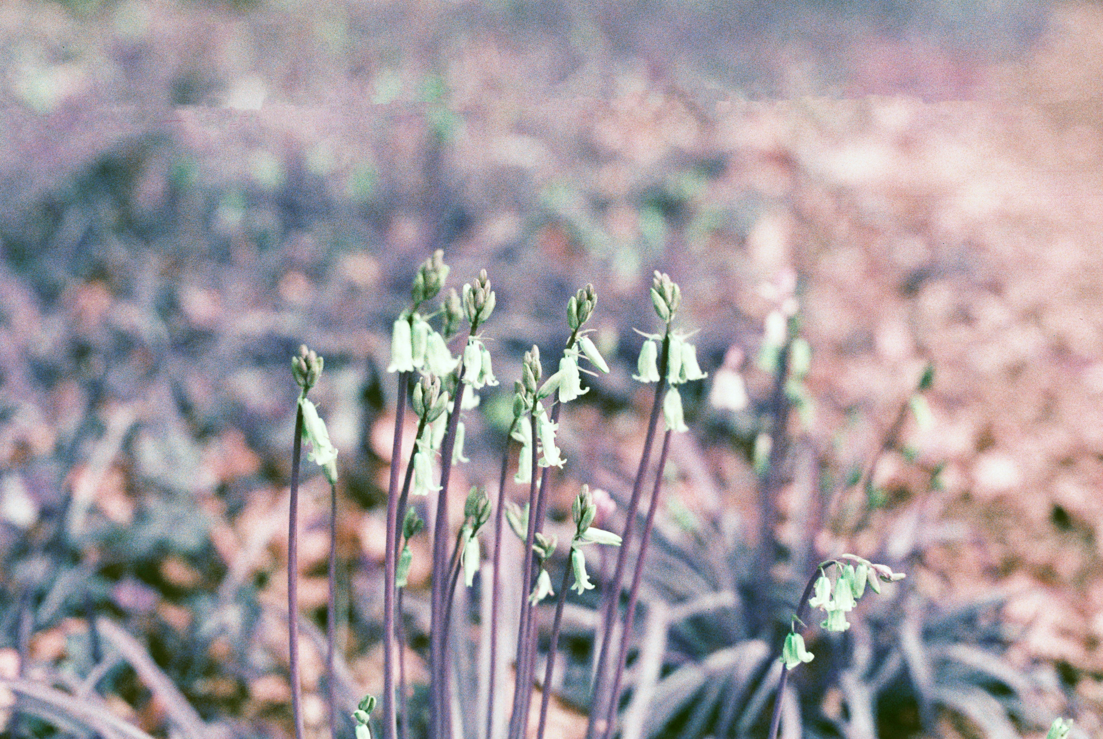 Photo by anniespratt